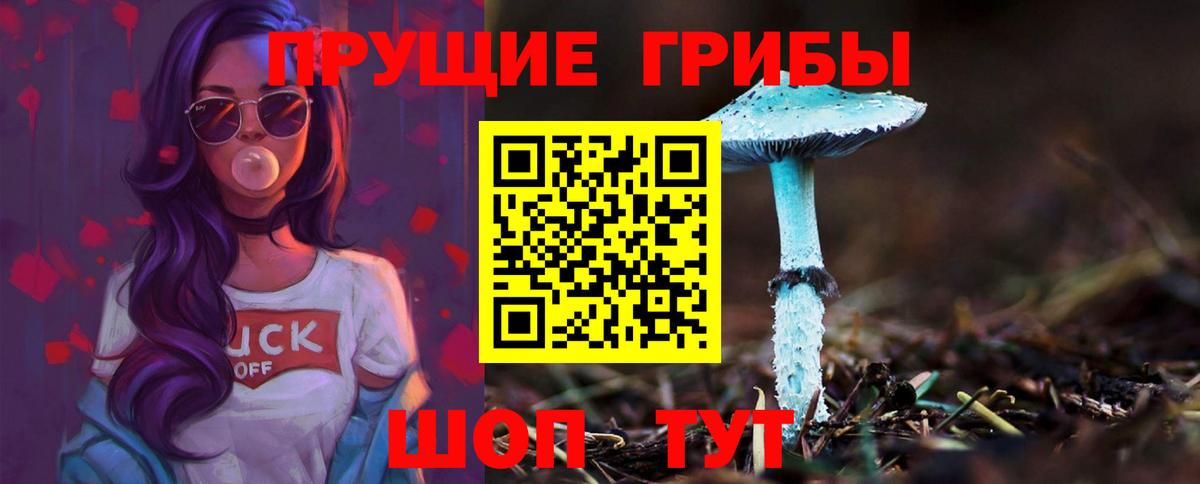 Элиста  Галлюциногенные грибы Psilocybe  Вход с VPN 